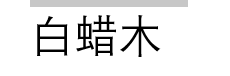 白蜡木文字